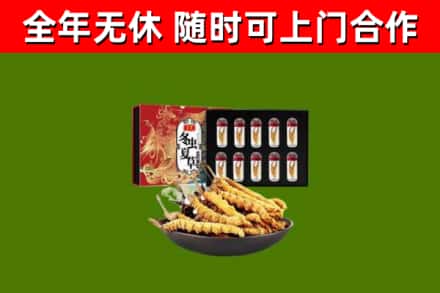 新蔡县烟酒回收冬虫夏草礼盒.jpg